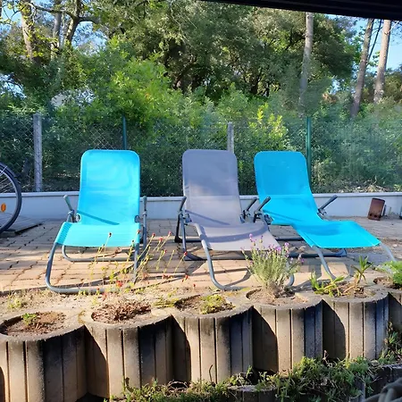 Ctl - Carcans, Medoc *